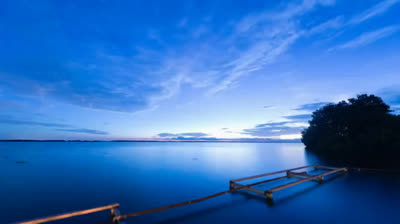 Lo inexplicable. Naturaleza antinatural